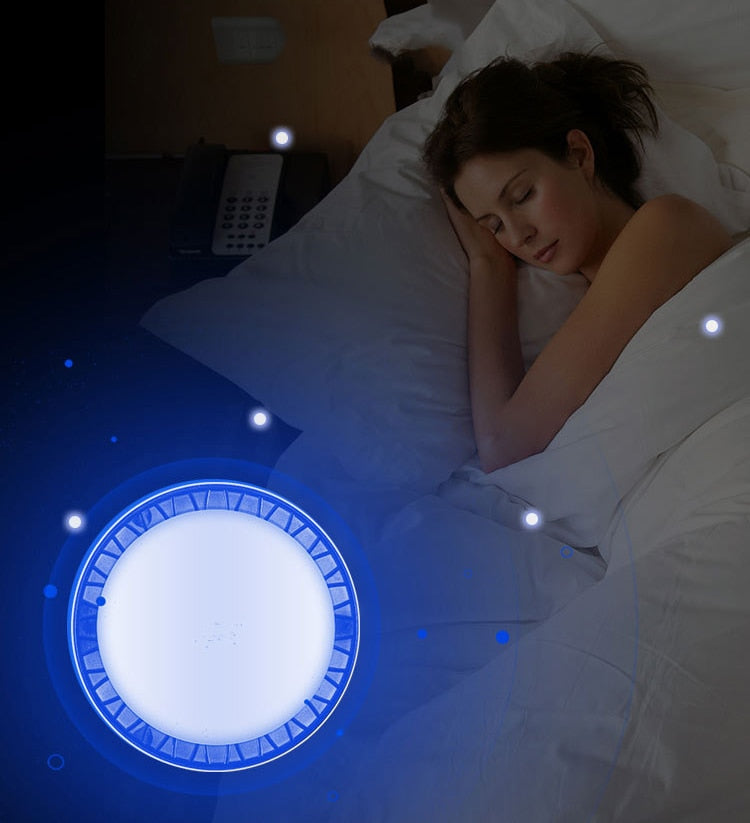 LED Mosquito Killer Lamp