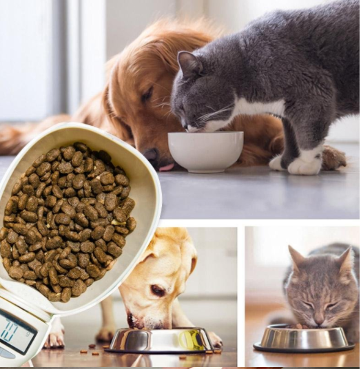 Digital Pet Food Measuring Scoop Spoon for Dog/Cat Feeding, Portable/Detachable Pet Food Measuring Spoon